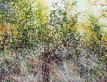 Summer Turns to Fall, 2017, 36" x 48", acrylic on canvas