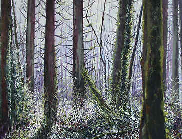 Summer Woods, 2007, 18" x 24", acrylic on canvas