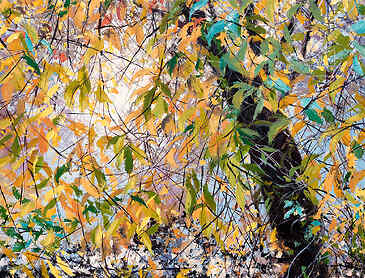 Sun Dance, 2024, 30" x 40", acrylic on canvas, SOLD