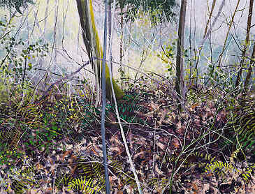 Tangled Spring Woods, 2025, 36" x 48", acrylic on canvas
