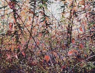 Through Autumn Tangle, 2018, 30" x 40", acrylic on canvas, SOLD