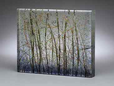 Twilight Birches, 2019, 8" x 10" x 1¼", kiln-formed glass, SOLD