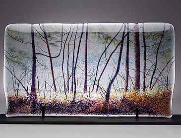 Understory, 2013, 10" x 16" x ¼", kiln-formed glass, SOLD