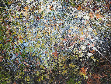 Where the Light Gets In, 2017, 36" x 48", acrylic on canvas, SOLD