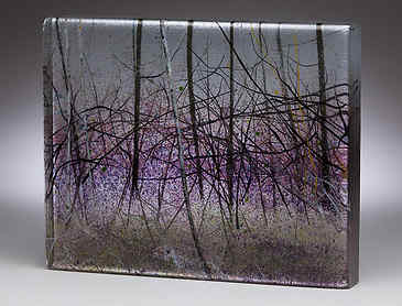 Wildwood, 2016, 8" x 10" x 1¼", kiln-formed glass, SOLD