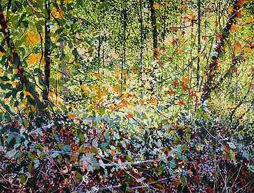 Woodland Autumn Light, 2023, 48" x 60", acrylic on canvas, SOLD