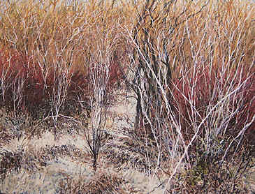 Year's End at Oaks Bottom, 2010, 36" x 48", acrylic on canvas, SOLD